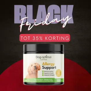 Allergy Support | 120 stuks