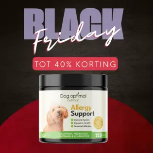 Allergy Support | 120 stuks