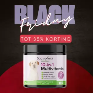 10-In-1 Multivitamin | 120 stuks