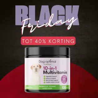 10-In-1 Multivitamin | 120 stuks