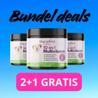 10-In-1 Multivitamin | 120 stuks