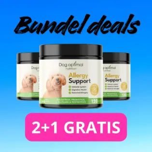 Allergy Support | 120 stuks