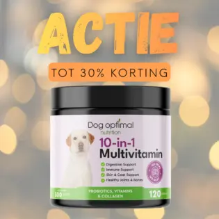 10-In-1 Multivitamin | 120 stuks