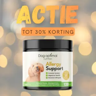 Allergy Support | 120 stuks