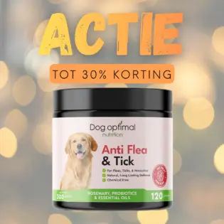 Vlo & Teek | 120 stuks