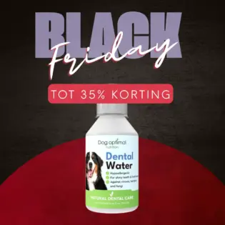 Dental Water | 250ml