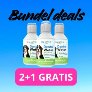 Dental Water | 250ml