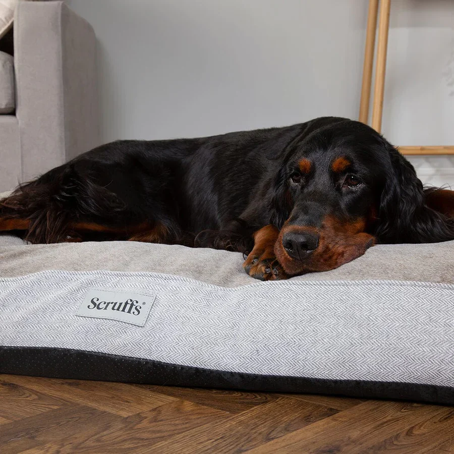 file_756424c5-689f-4920-9a89-1f137a81fdf8